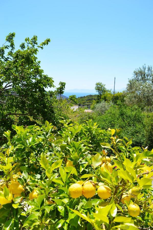 Alikias Country House Panormos  Εξωτερικό φωτογραφία