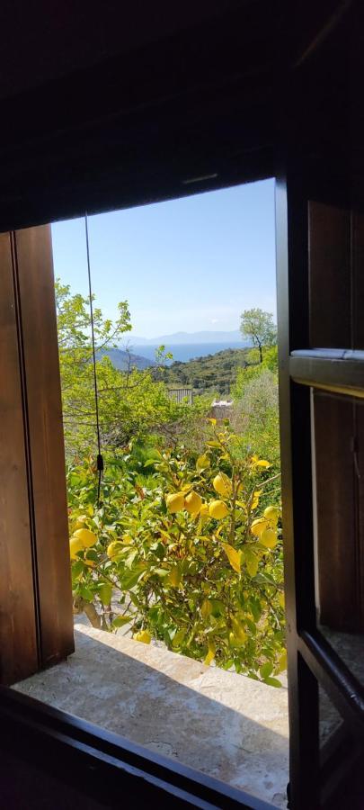 Alikias Country House Panormos  Εξωτερικό φωτογραφία