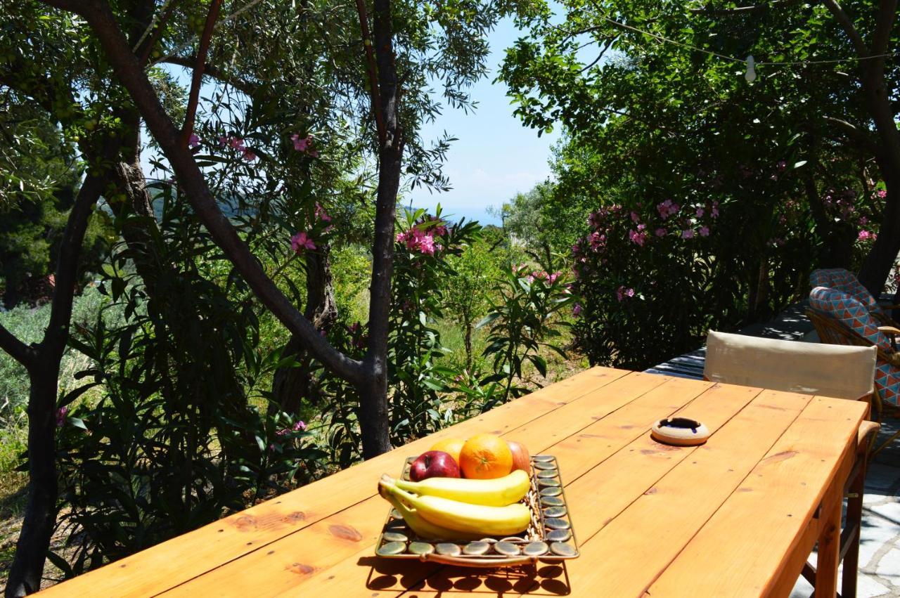 Alikias Country House Panormos  Εξωτερικό φωτογραφία