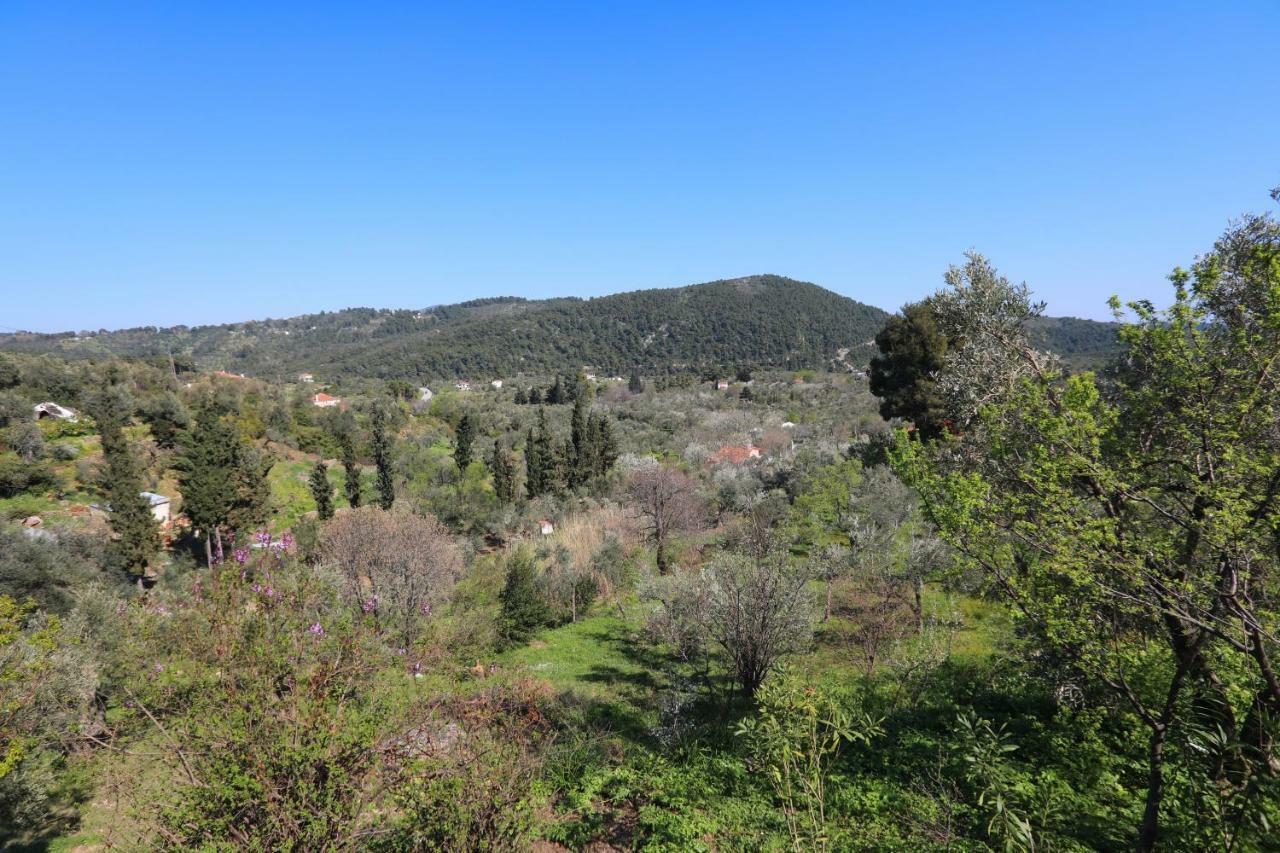 Alikias Country House Panormos  Εξωτερικό φωτογραφία